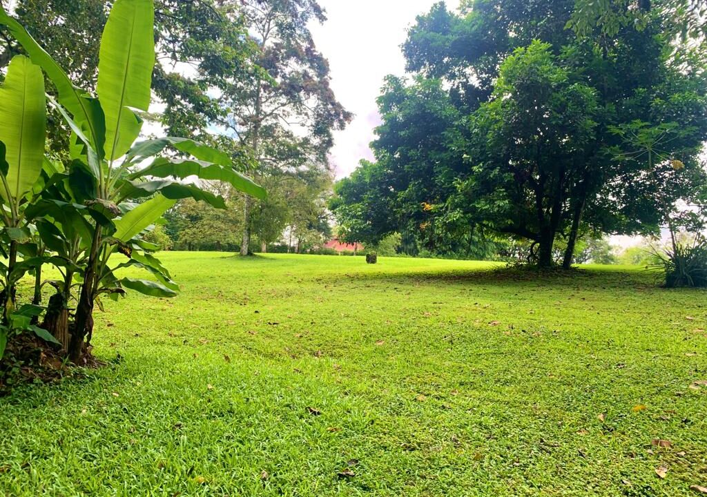La Fortuna property for sale land for sale real estate costa rica hot spring arenal volcano