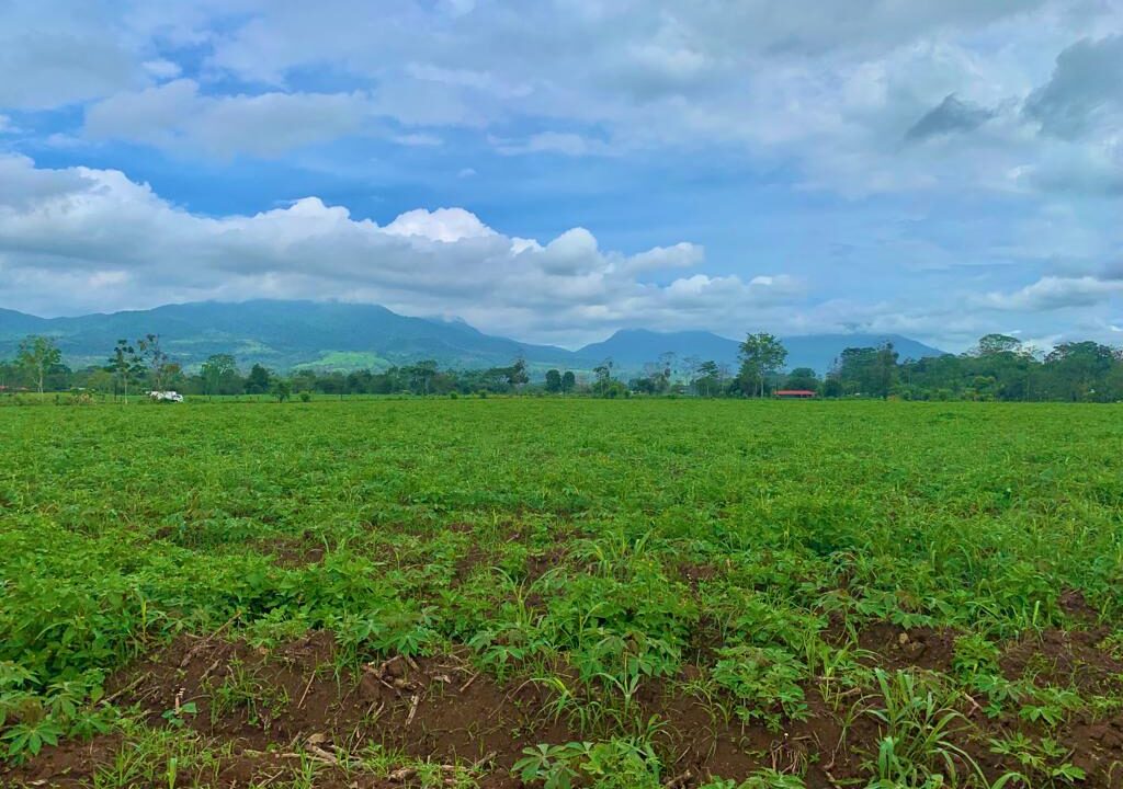 large land for sale real estate la fortuna costa rica arenal volcano