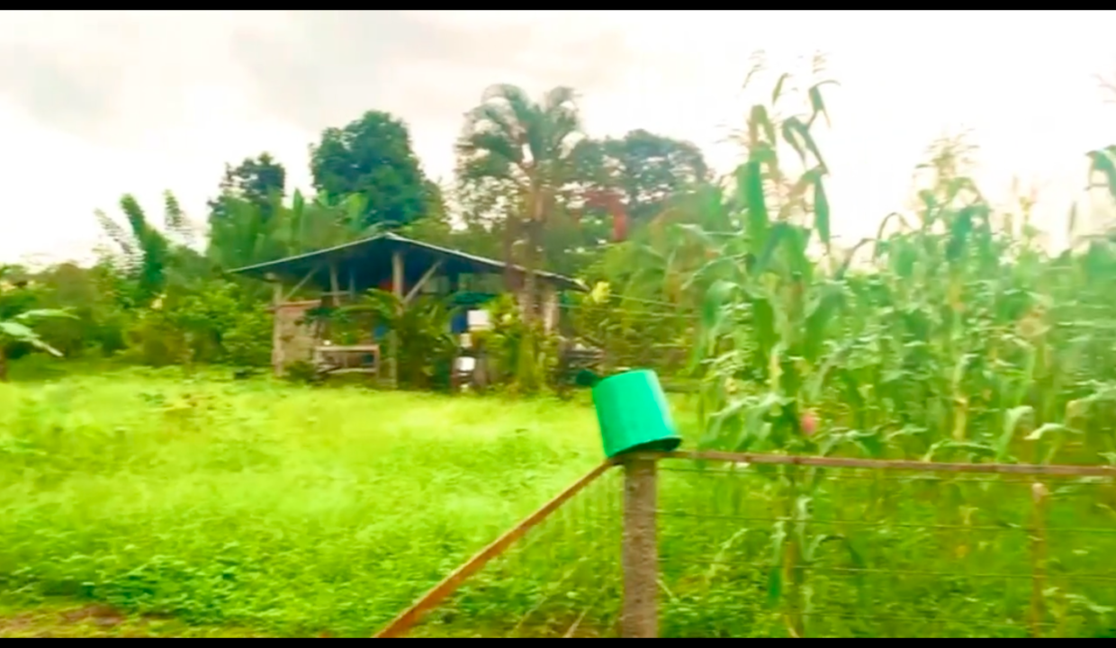 Sona Fluca La Fortuna Arenal Volcano Costa Rica property for sale real estate