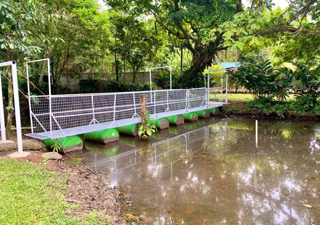 Los Angeles retreat la fortuna costa rica real estate property for sale bird paradise