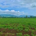 large land for sale real estate la fortuna costa rica arenal volcano
