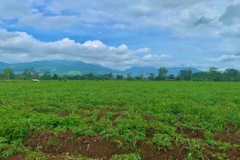 large land for sale real estate la fortuna costa rica arenal volcano