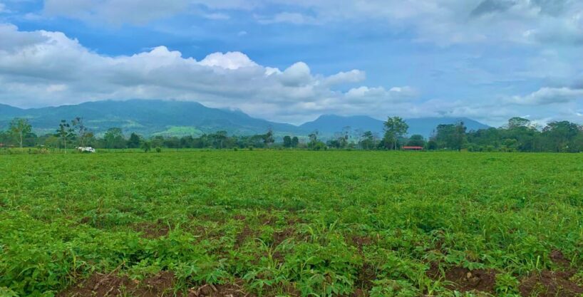 large land for sale real estate la fortuna costa rica arenal volcano