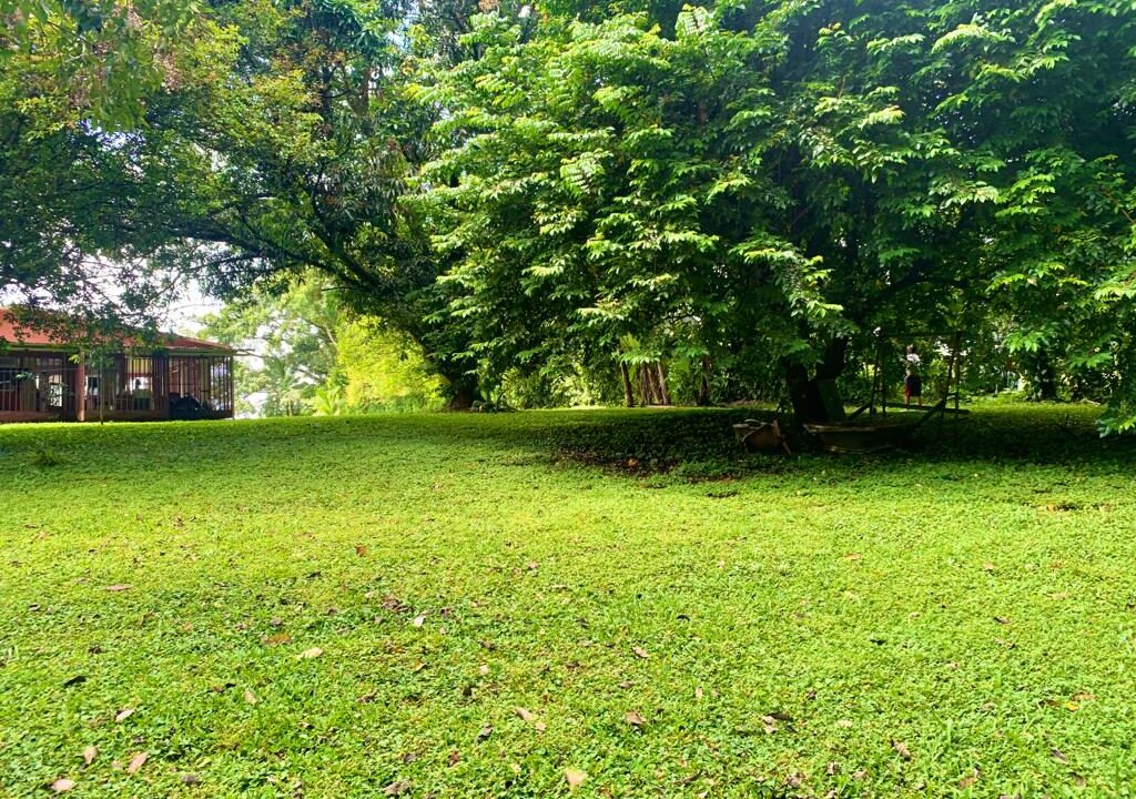 La Fortuna property for sale land for sale real estate costa rica hot spring arenal volcano