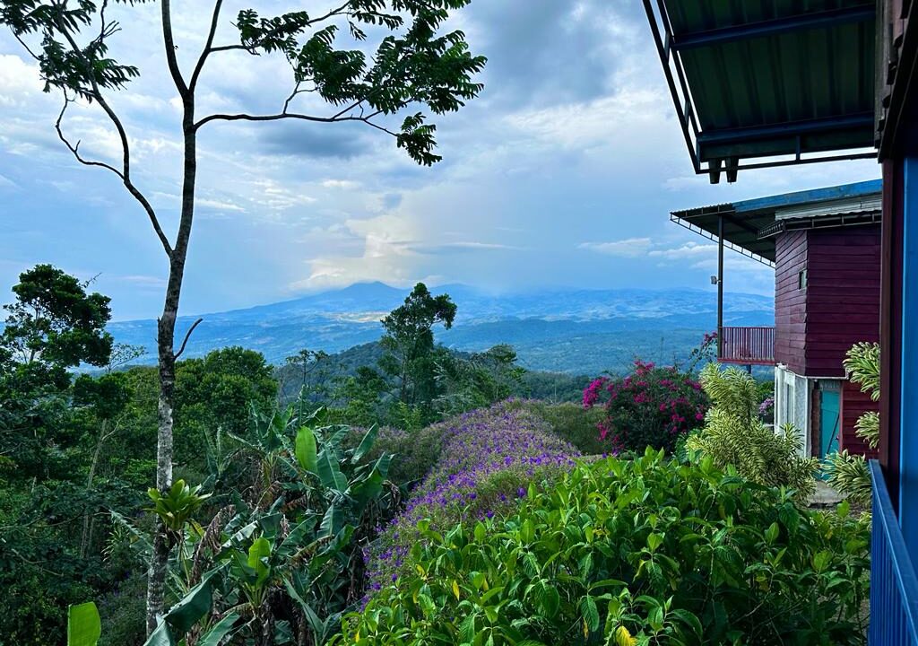 la tigra costa rica retreat for sale real estate mountain land large property yoga