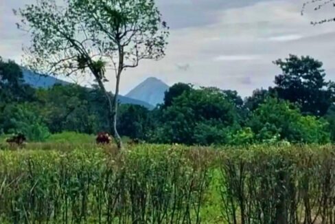 land for sale la tigra la fortuna costa rica real estate arenal volcano