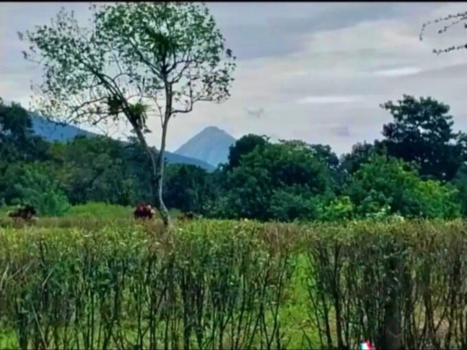 land for sale la tigra la fortuna costa rica real estate arenal volcano