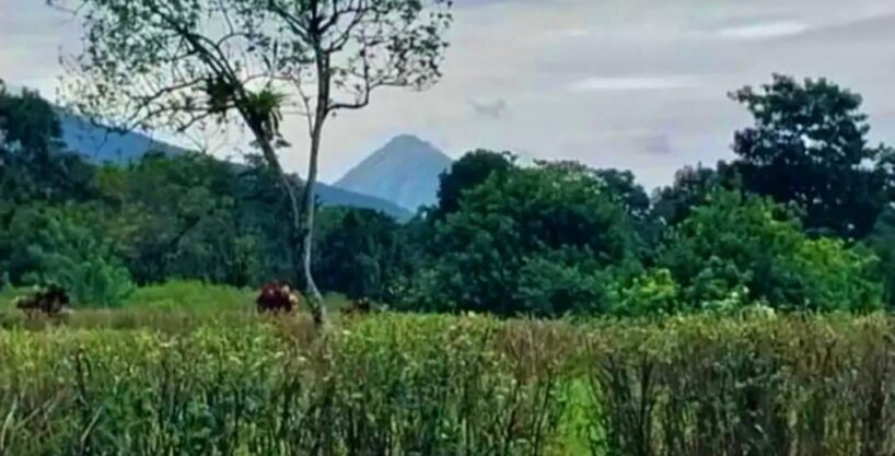 land for sale la tigra la fortuna costa rica real estate arenal volcano