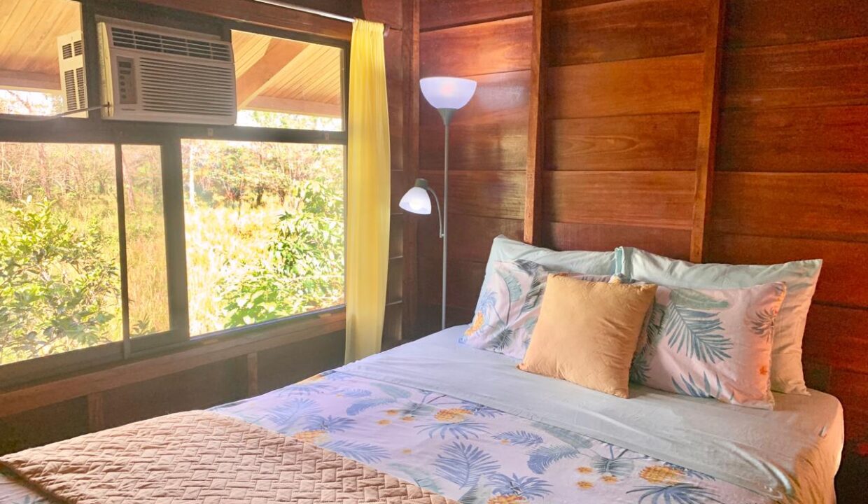 El Poder La Fortuna Costa Rica Condo 12