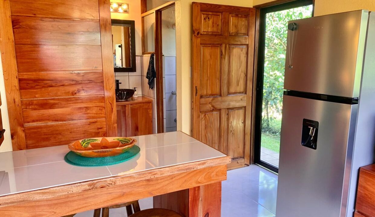 El Poder La Fortuna Costa Rica Condo 6