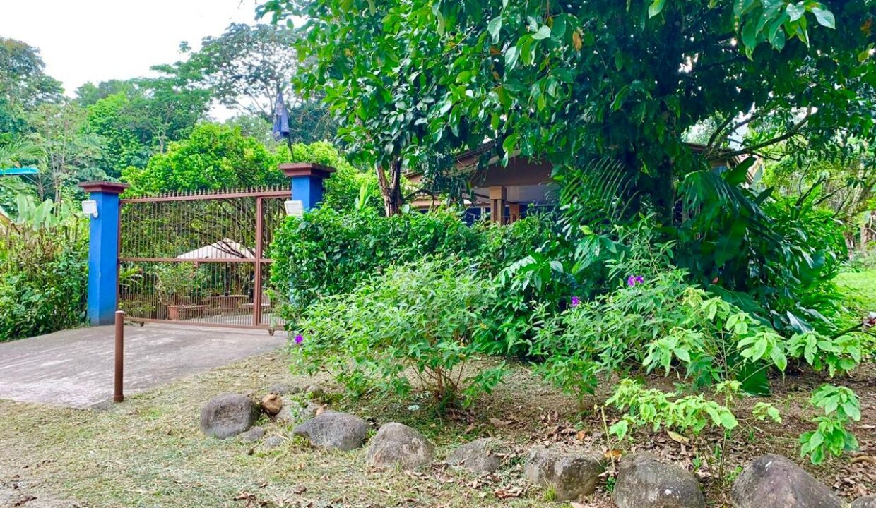 Jungle driveway leading to private home