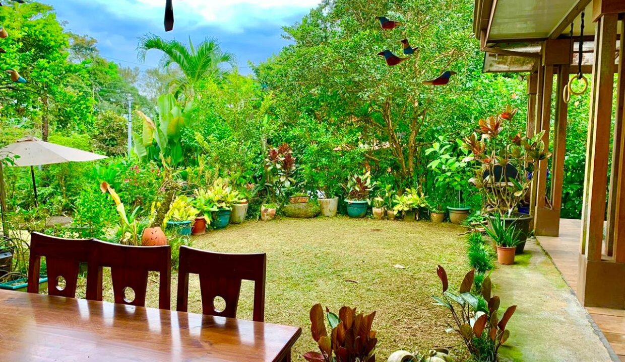 Garden dining space with tropical plants