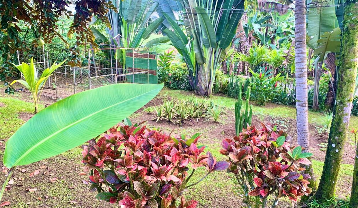 La Fortuna Retreat Income Property mini hotel restaurant real estate arenal Costa Rica