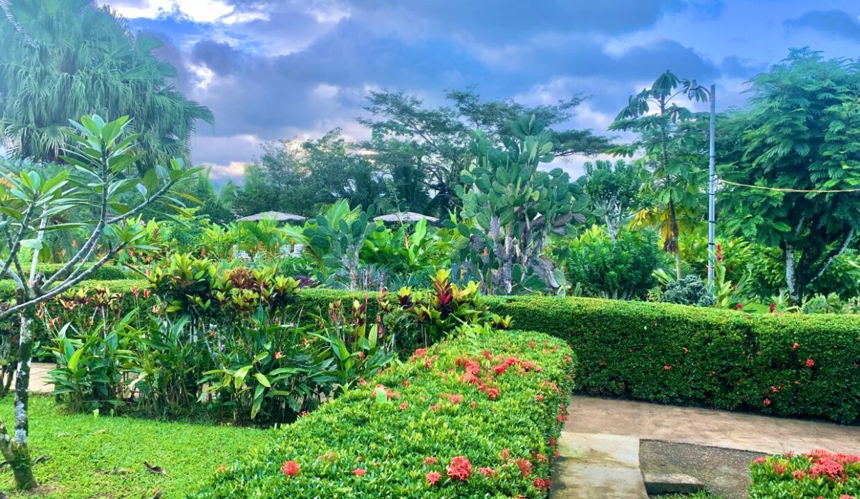 La Fortuna Retreat Income Property mini hotel restaurant real estate arenal Costa Rica