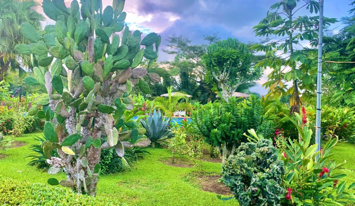 La Fortuna Retreat Income Property mini hotel restaurant real estate arenal Costa Rica