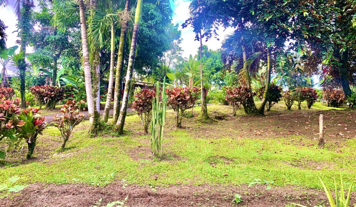 La Fortuna Retreat Income Property mini hotel restaurant real estate arenal Costa Rica