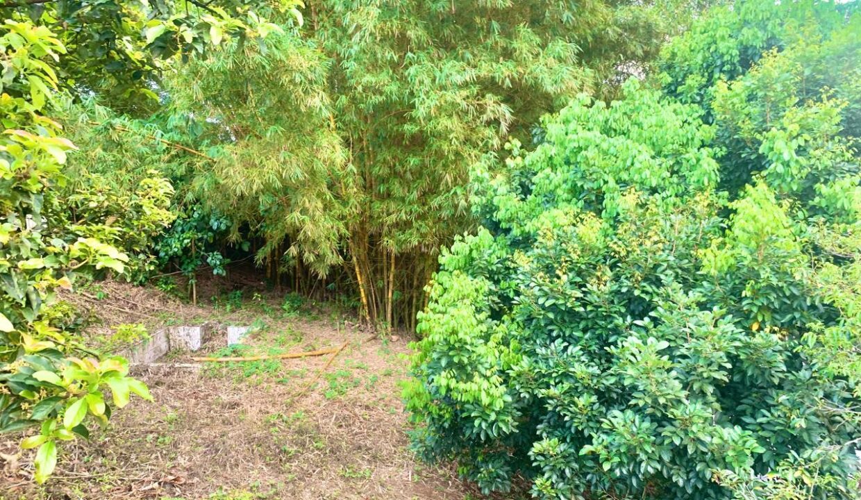 Penas blancas la fortuna real estate property for sale with fence