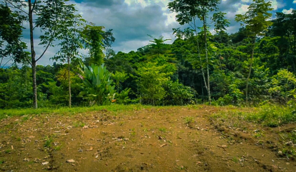 Pocosol La Fortuna Mountain Lot River Real estate