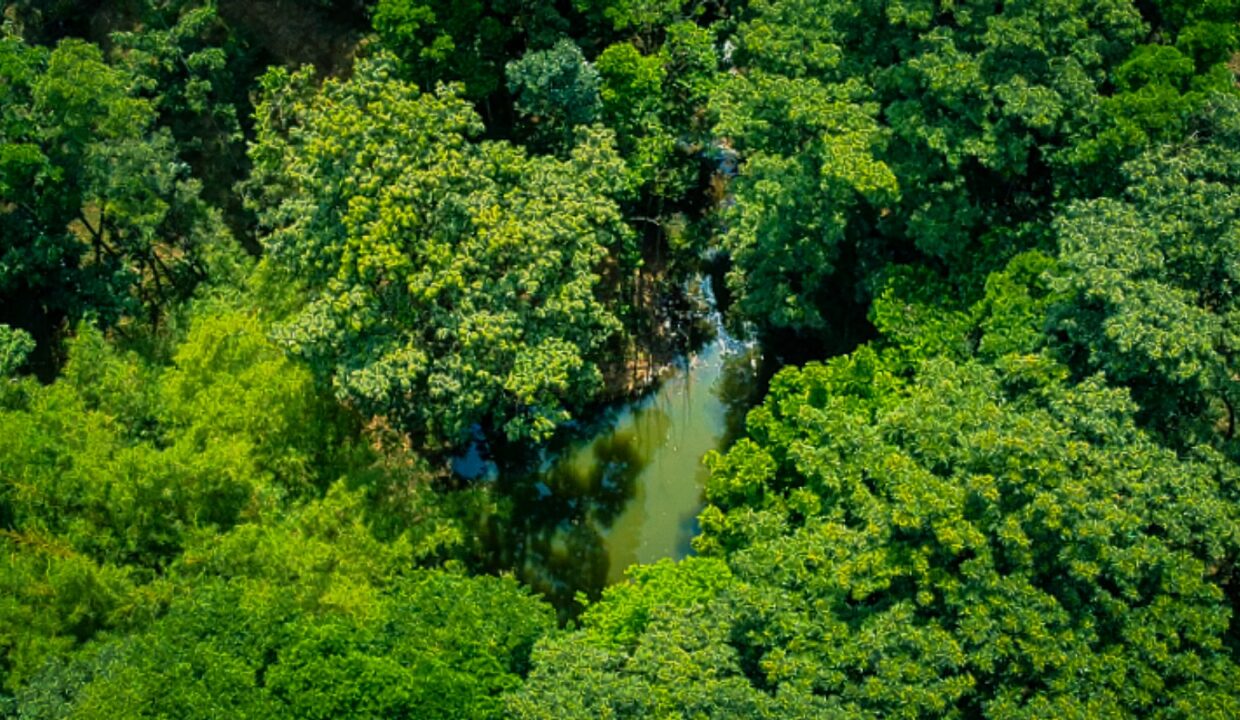 Bird's-eye perspective of forested land with private creek, ideal for eco retreats or permaculture — La Fortuna Costa Rica real estate near Arenal Volcano
