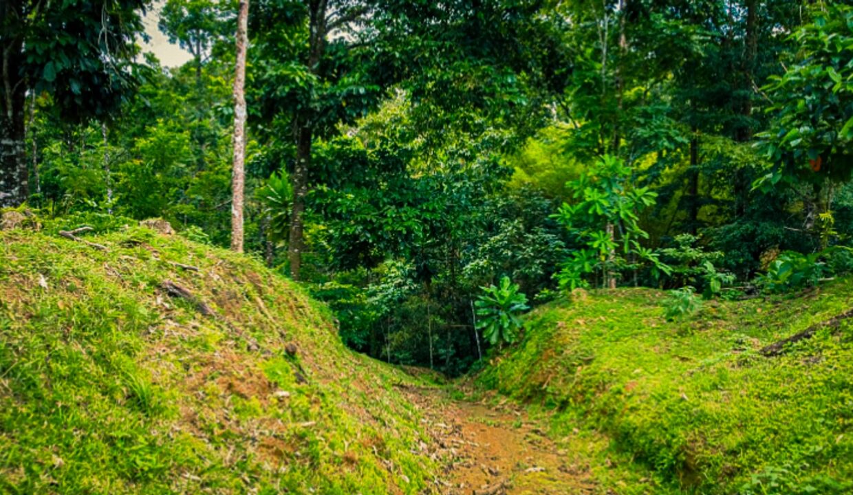Private path on forest property in La Fortuna Costa Rica real estate near Arenal Volcano
