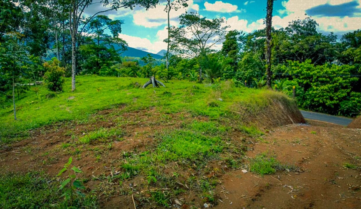 Tropical Glow: Scenic Costa Rica jungle land parcel near La Fortuna