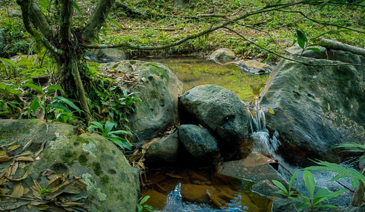 Natural spring creek on land in La Fortuna Costa Rica real estate near Arenal Volcano