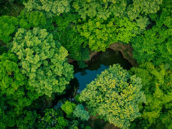 Aerial view of forest canopy and central water pond in Costa Rica