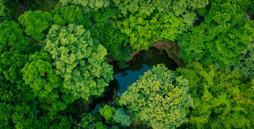 Aerial view of forest canopy and central water pond in Costa Rica