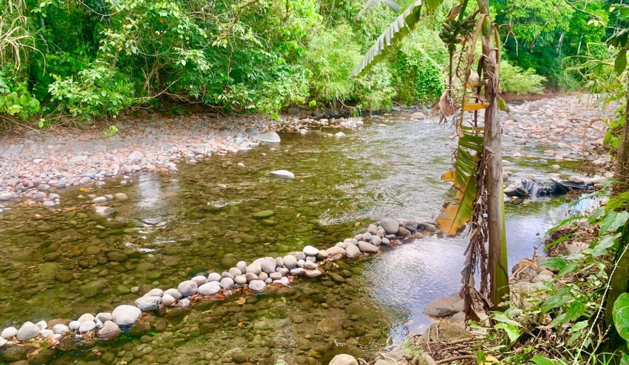 Penas Blancas La Fortuna Costa Rica Lot with River Arenal Volcano