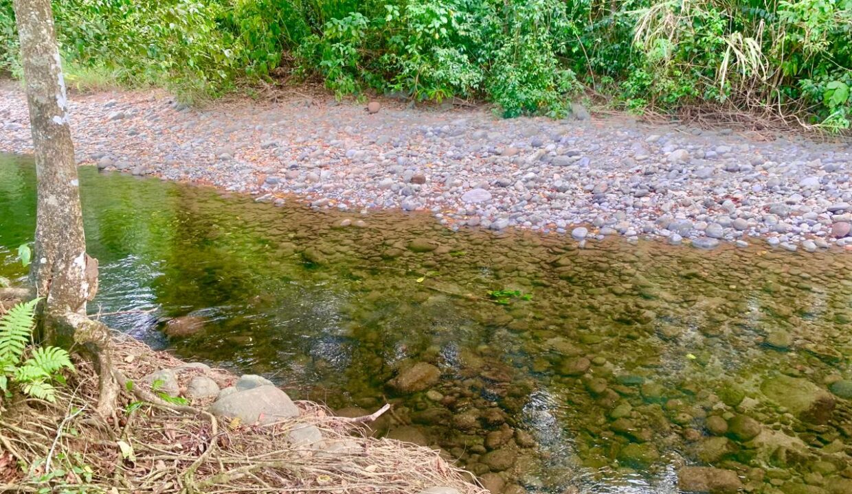 Penas Blancas La Fortuna Costa Rica Lot with River Arenal Volcano