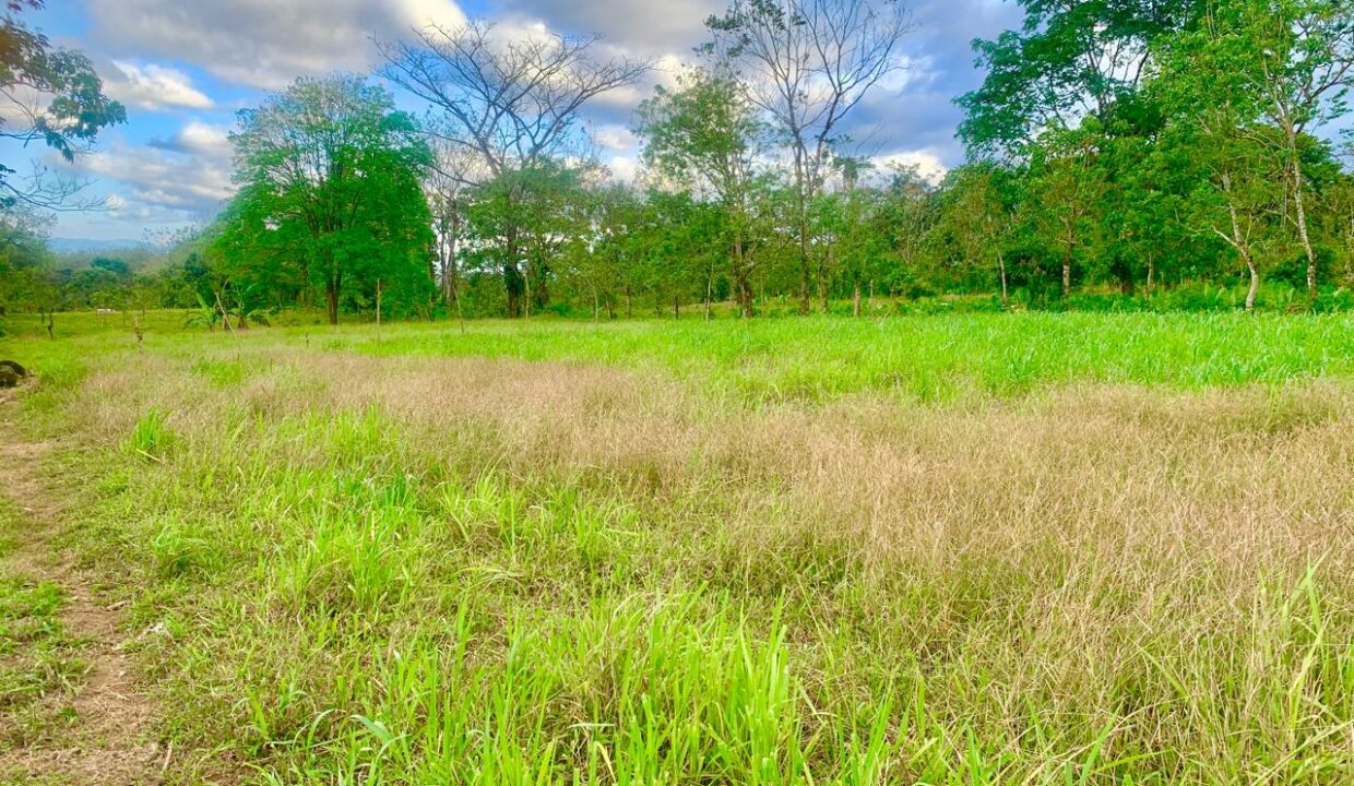 Penas Blancas La Fortuna Costa Rica Lot with River Arenal Volcano