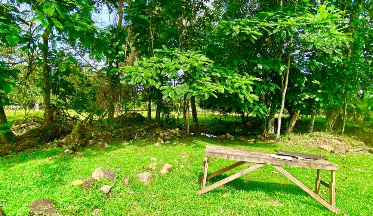 la fortuna Fertile Land with Fruit Trees in Costa Rica