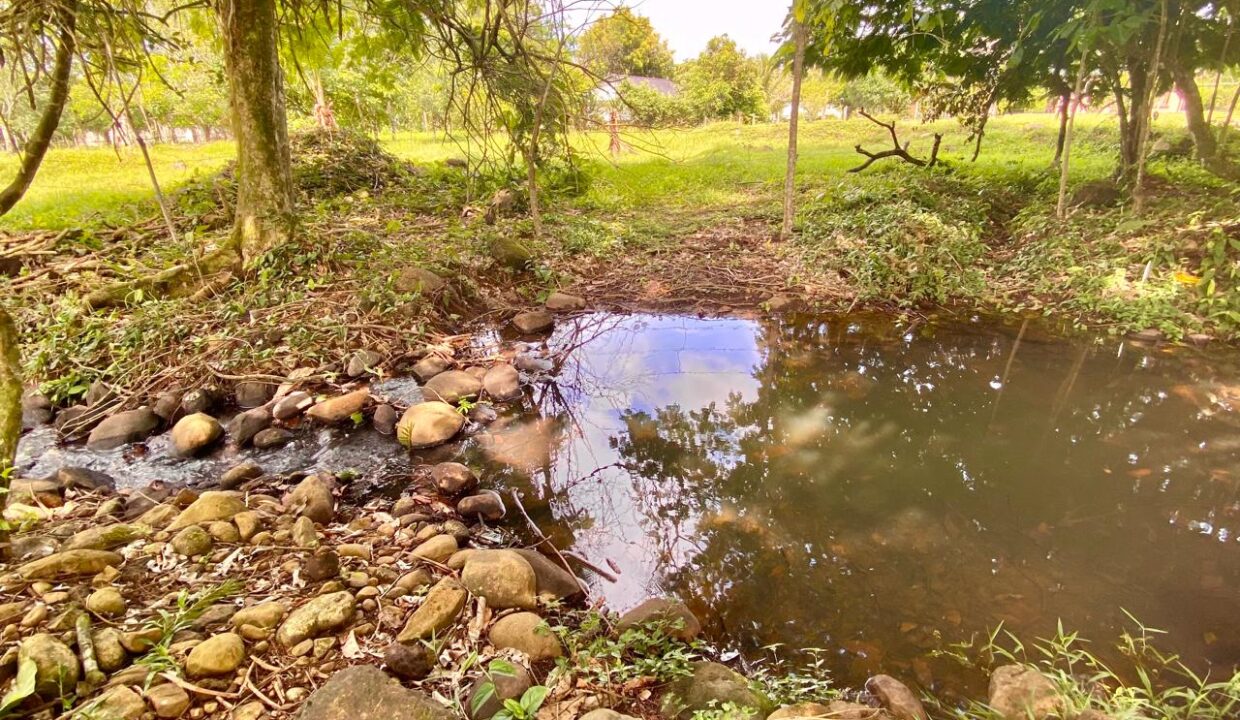 La Fortuna Private River Pond Fed by Natural Spring