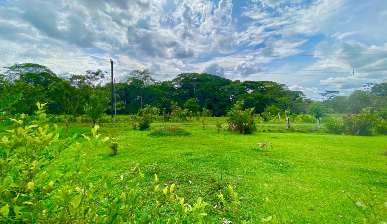 Colorful bird spotted on tranquil private land near La Fortuna