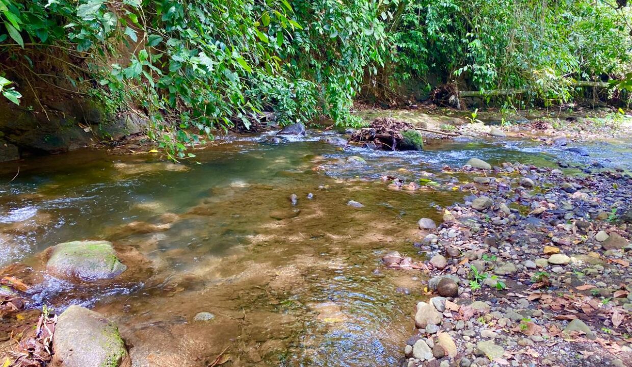 Riverfront land near La Fortuna Costa Rica with jungle views and swim-access river – Tropical Glow