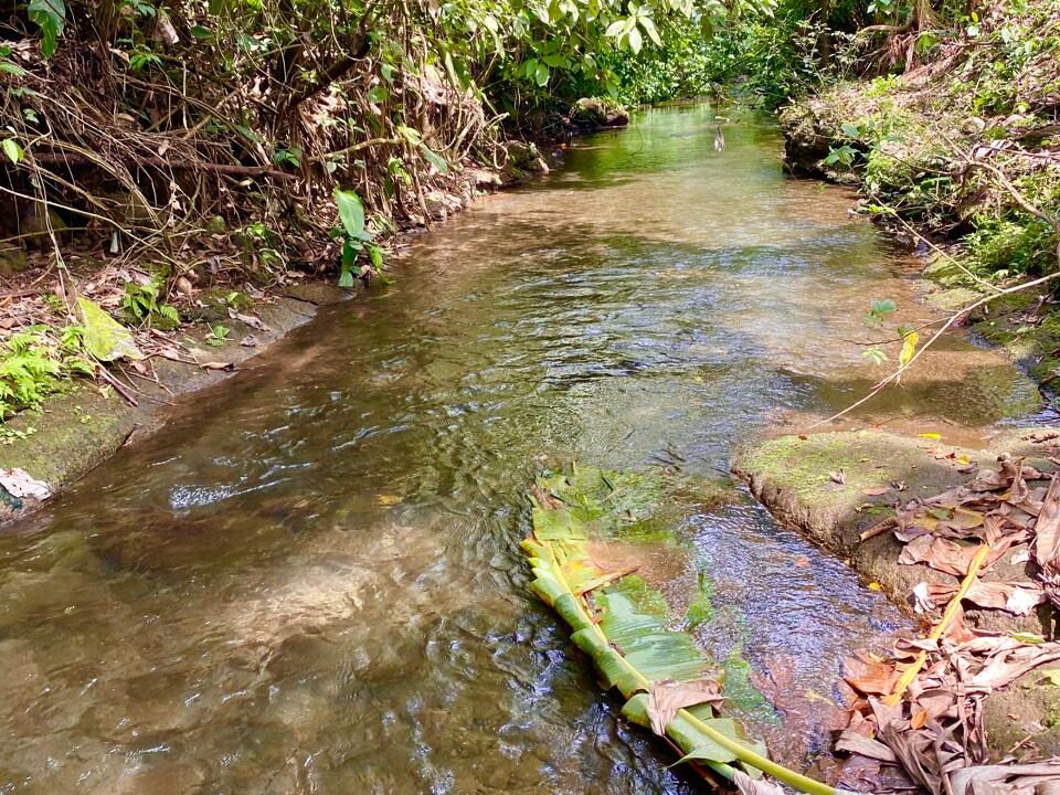 Secluded jungle stream on riverfront land minutes from La Fortuna Costa Rica – Tropical Glow