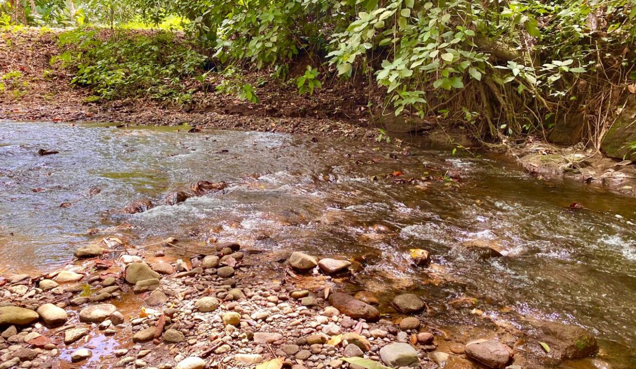 Private river access on lush property for sale near La Fortuna Costa Rica – Tropical Glow