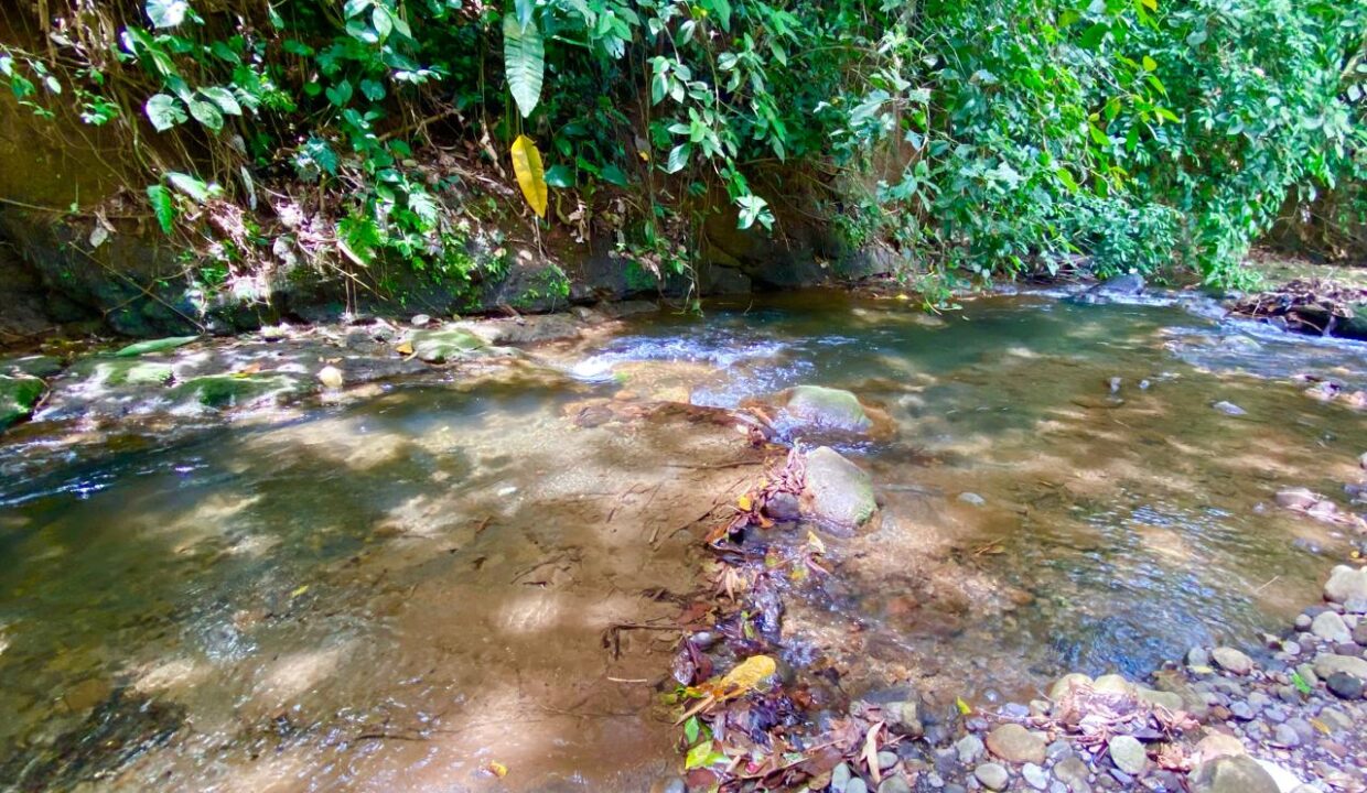 Crystal-clear river with sunlight filtering through jungle canopy near La Fortuna Costa Rica – Tropical Glow