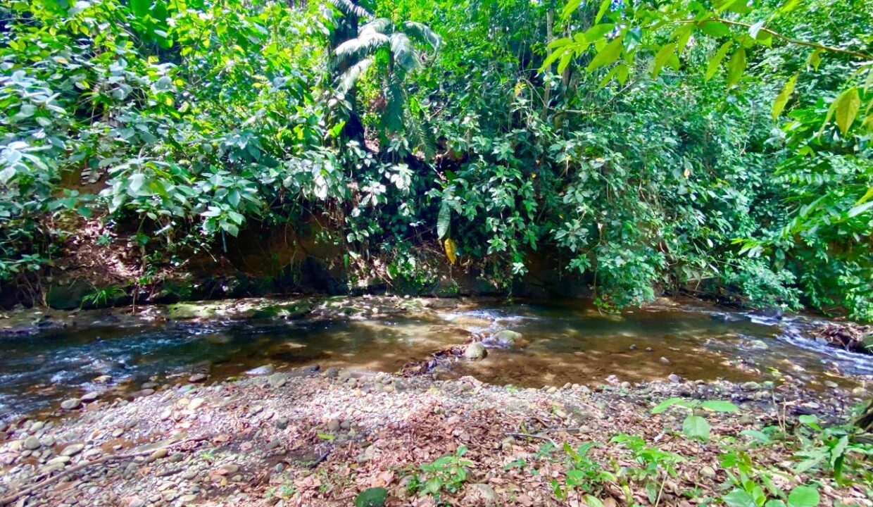 Lush rainforest stream with pebbles and tall trees near hot springs in La Fortuna Costa Rica – Tropical Glow
