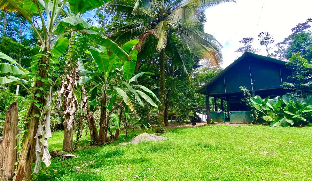 Jungle house with blue skies and lush greenery near Arenal Volcano in La Fortuna Costa Rica – Tropical Glow