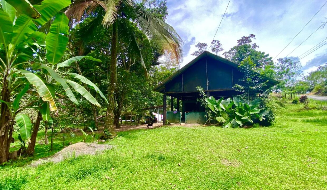 Wooden home framed by banana and palm trees near Arenal Volcano in La Fortuna Costa Rica – Tropical Glow