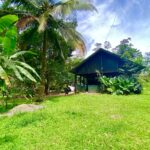 Rustic wooden house with tropical trees and sunny skies in La Fortuna Costa Rica