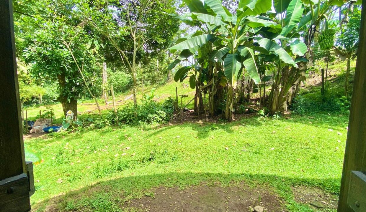 Lush land and banana grove visible from kitchen near Arenal Volcano – La Fortuna Costa Rica – Tropical Glow