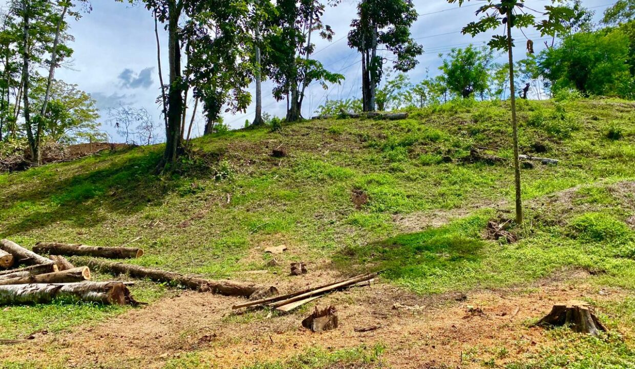 Elevated jungle property with mountain terrain near Arenal Volcano – La Fortuna Costa Rica – Tropical Glow