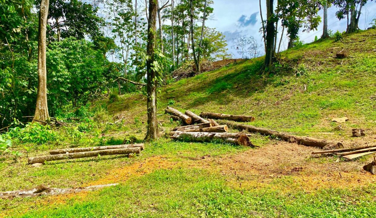 Hillside property with forested terrain near Arenal Volcano – La Fortuna Costa Rica – Tropical Glow