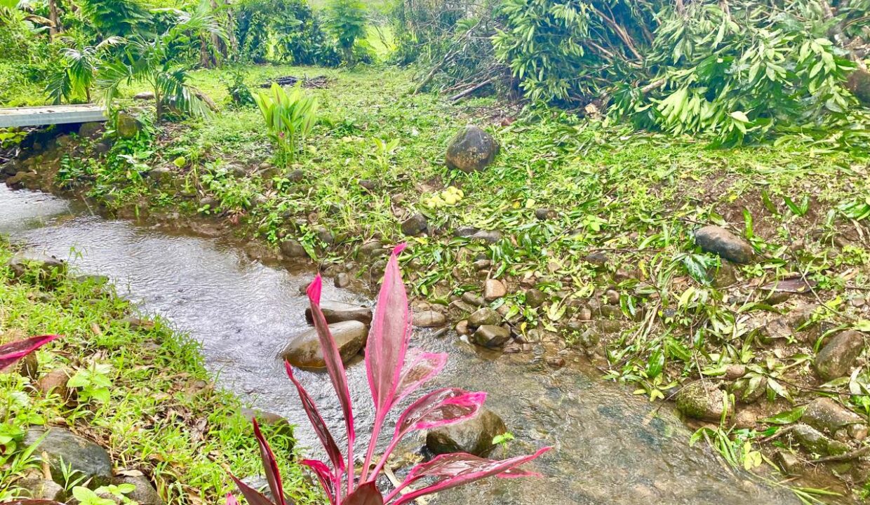 Private river creek with bridge access, adds value and serenity to Costa Rica property for sale