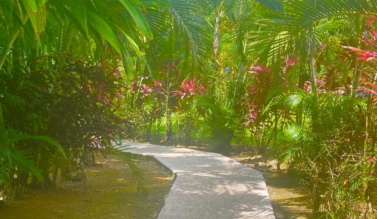 Lush tropical hotel walkway in La Fortuna, Costa Rica