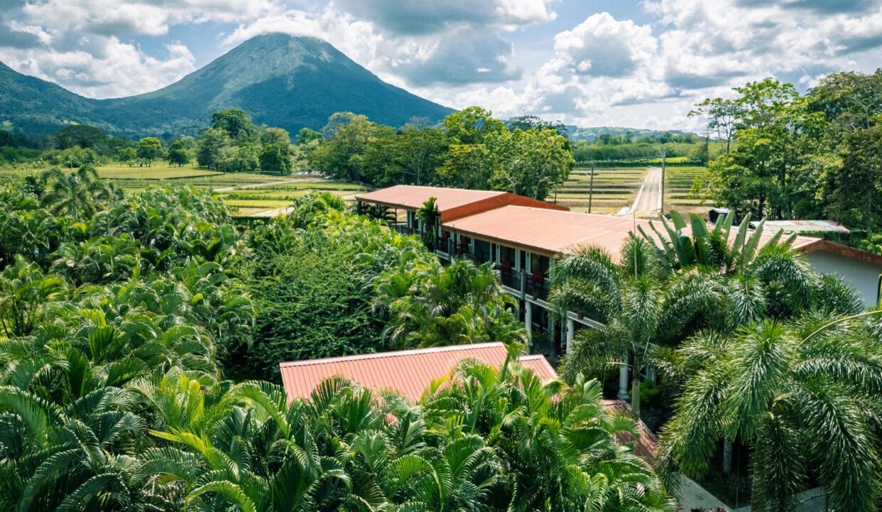 Scenic palm-lined hotel grounds in La Fortuna