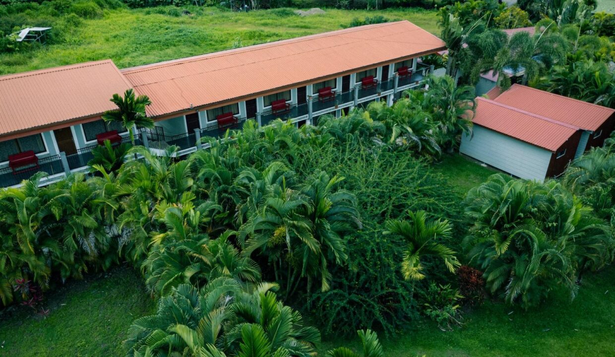 Hotel with jungle view and pool in La Fortuna Costa Rica