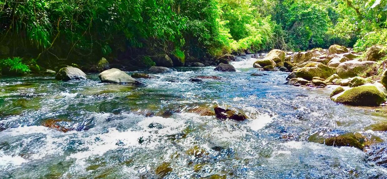Riverfront real estate near La Fortuna waterfall and hot springs – ideal for eco-retreat or boutique development